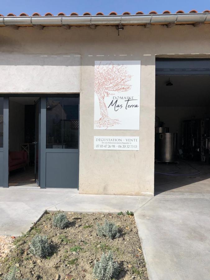 Domaine Mas Terra Saint-Paul-de-Fenouillet Exterior foto
